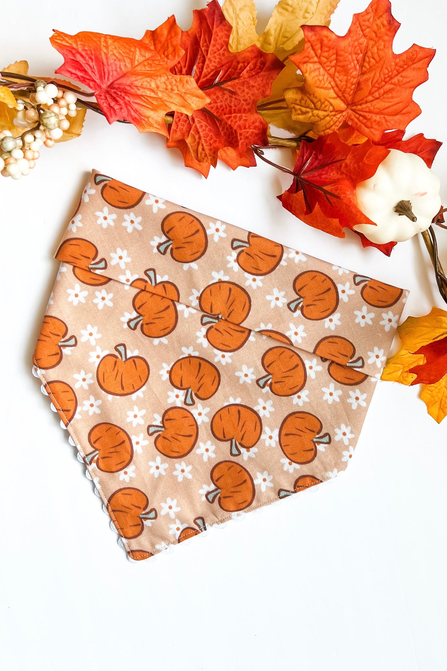 Pumpkins And Daisies Bandana