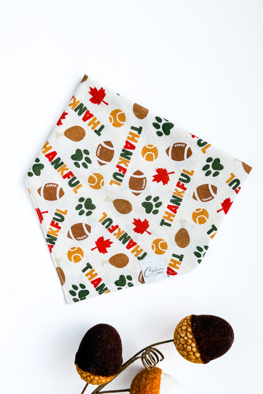 Thankful Bandana
