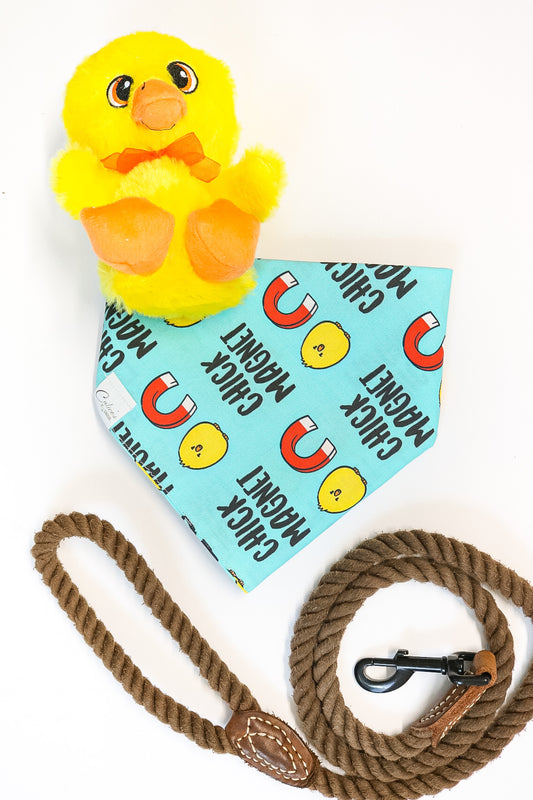 Chick Magnet Bandana