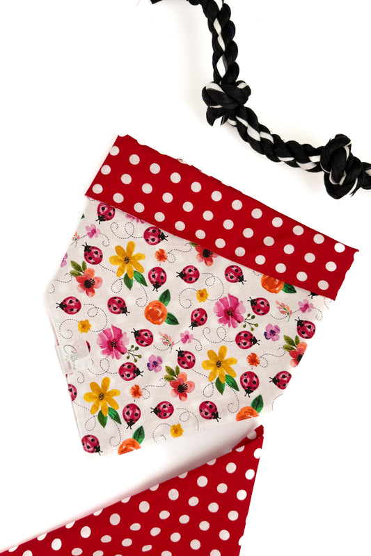 Lady Bug Reversible Bandana