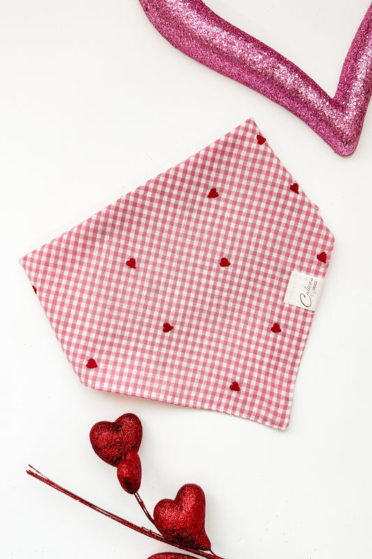 Embroidered Hearts On Gingham Bandana