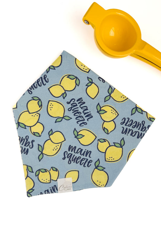 Main Squeeze Bandana