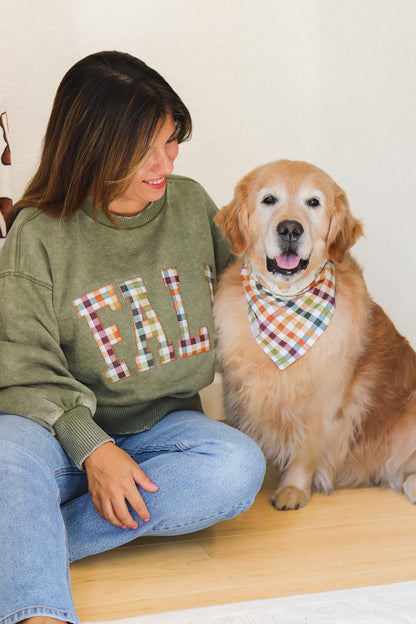 FALL Stitched Graphic Pullover (olive)