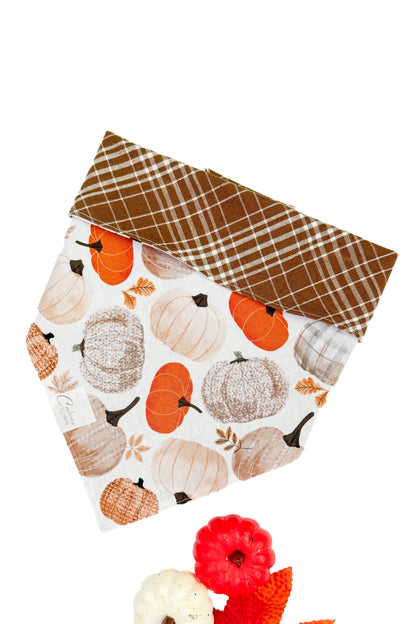 Tossed Pumpkins And Plaid Reversible Bandana