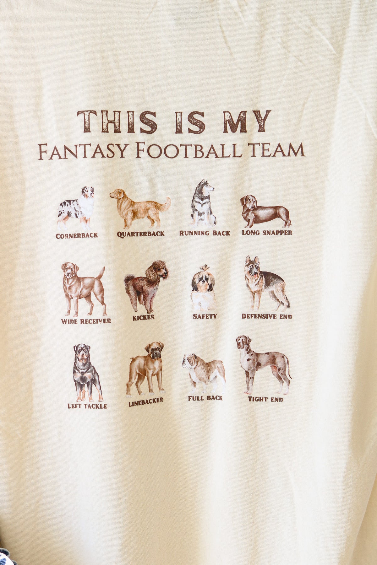 'New' Dog Fantasy Football Short Sleeve Graphic Tee (ivory)
