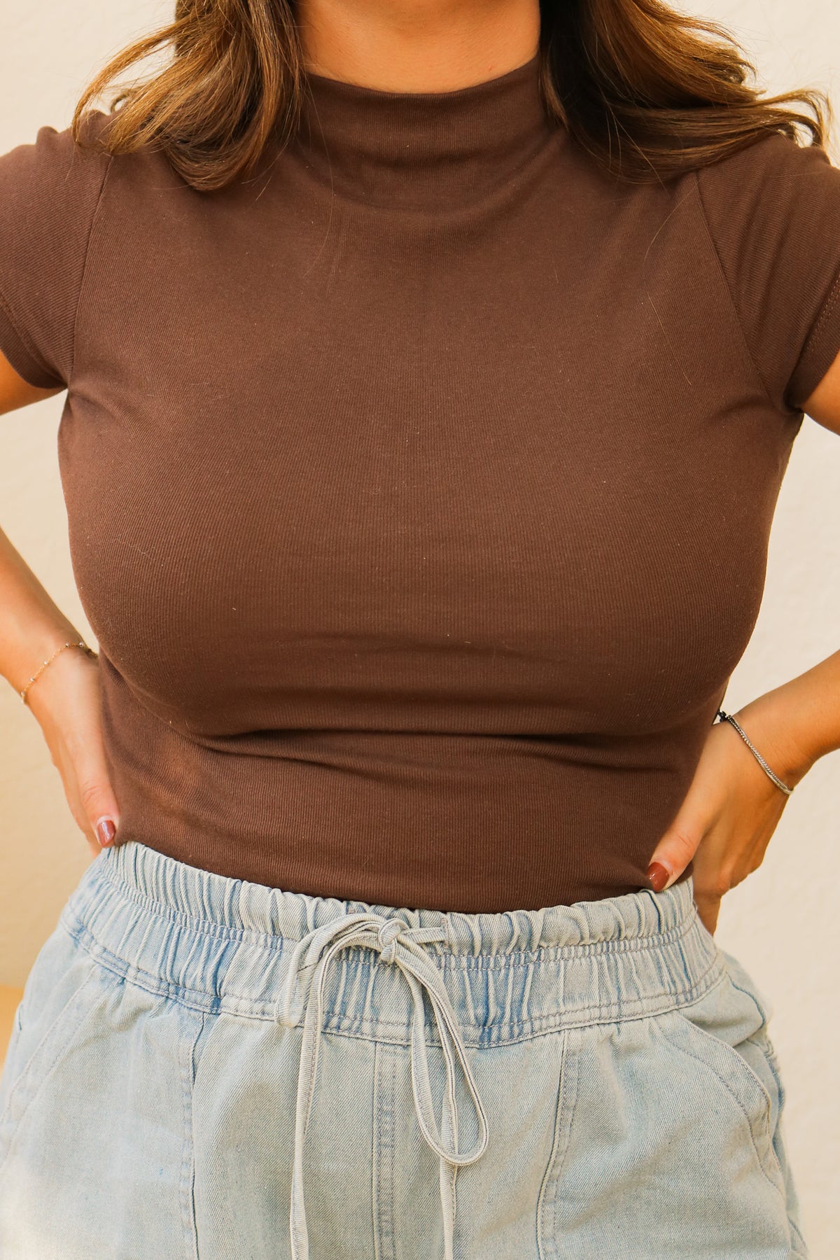 Mock Neck Basic Top (brown)