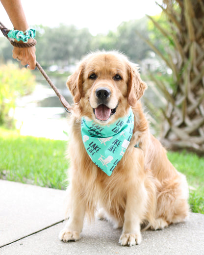 Lake Life Bandana