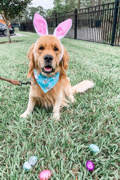 Bunny Shark Bandana